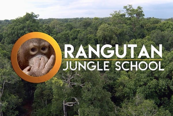 ‘Orangutan Jungle School’– Series Trailer